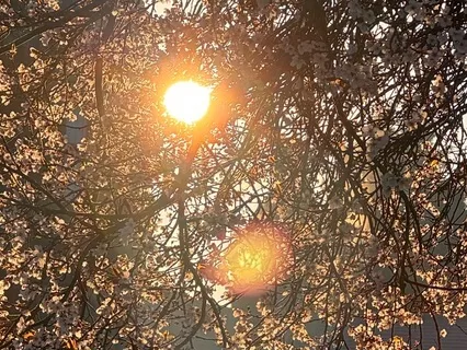 Sitting In The Power - Inner Child Connection