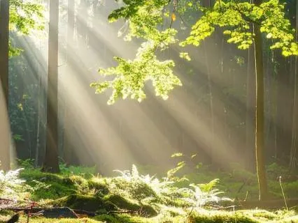 Sitting In The Power: Expand Into Universal Energy