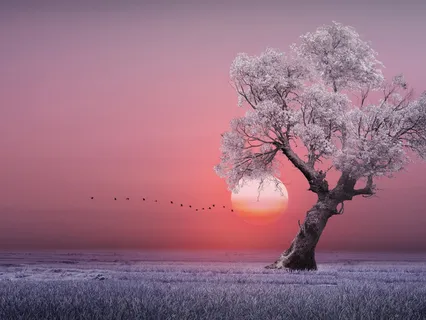 Sitting Practice MBSR