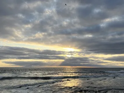 Sitting Meditation (MBSR)