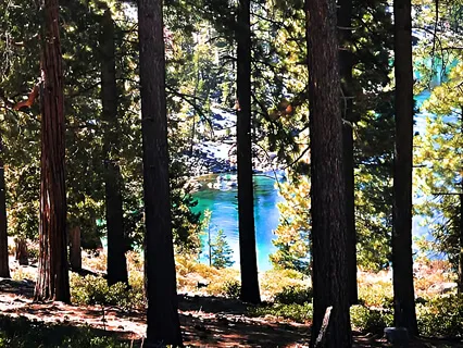 Sitting Meditation Practice