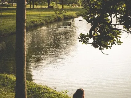Sitting On The River Bank Of The Mind