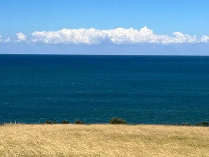 Sitting Practice (Breath, Sounds, Body)