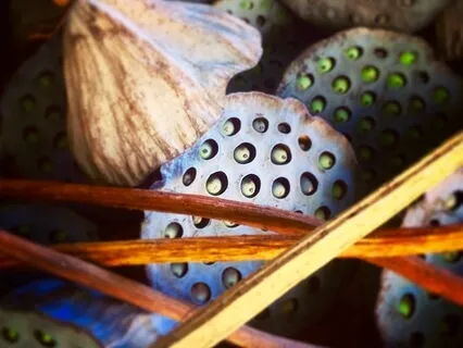 Sitting, Walking, Breathing Meditation