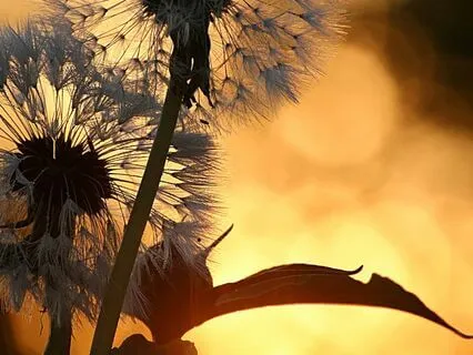 Sitting With Anxiety