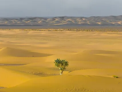 Sitting With Difficult Emotions