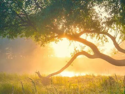 Sitting With Difficult Emotions