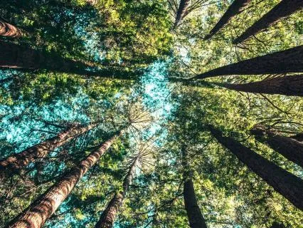 Sitting With Discomfort