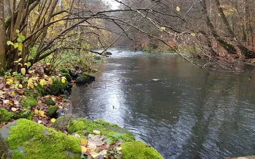 Sitting With Emotion