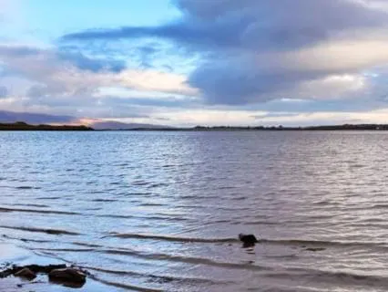 Sitting With Emotional Numbness