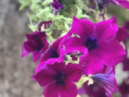 Sitting With Grief, Together