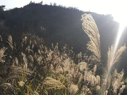 Sitting With Overwhelmed Inner Child