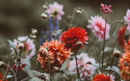 Sitting With Pain And Sickness