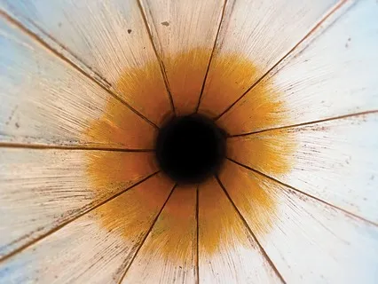 Sitting With Something Difficult