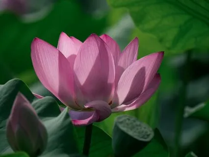 Sitting With Your Feelings In Acceptance