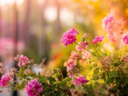 Sitting With Your Mother