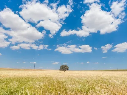 Six Elements Meditation (11-29-20)