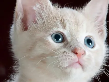 Six Minute Burnout Relief Meditation