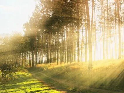 Six Minute Grounding - Morning Gratitude Meditation