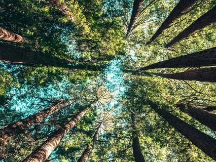 Six Minute Grounding Practice