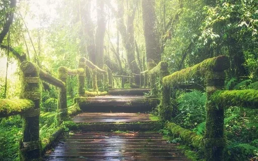 Six-Minute Mindfulness Meditation