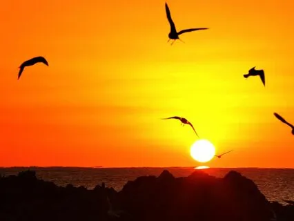 Six-Minute Morning Peace Practice