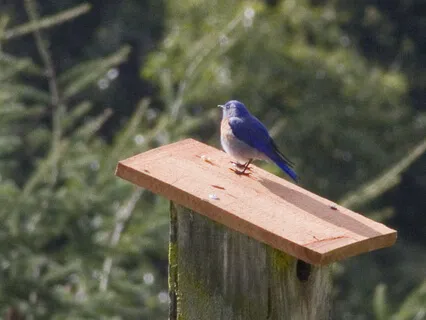 Six-Minute Overwhelm Soother With Jaene