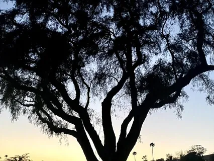 Six Minutes Of Sound