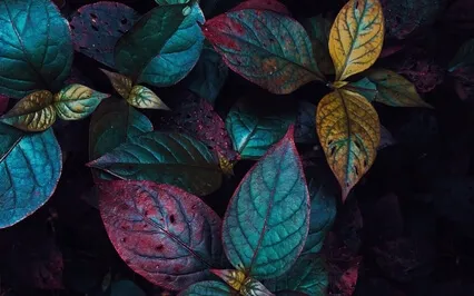 Six Point Meditation