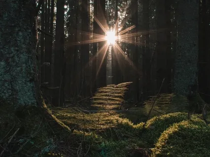 Six Sense Door Metta Meditation