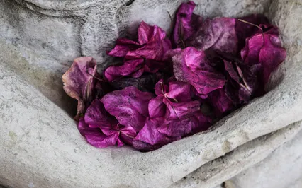 Six Steps Of Mindfulness Meditation