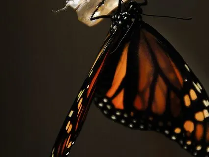 Six Words To Help You Let Go Of Self-Limiting Beliefs