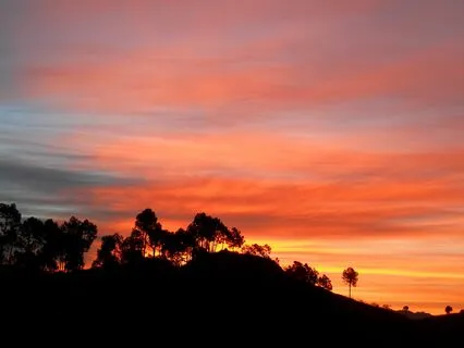 Sixth Sense Activation: Hemispheric Brain Synchronization