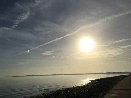 Сканирование Тела