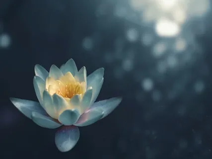 Сканирование Тела