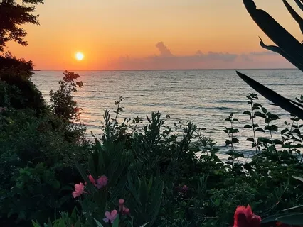 Сканирование Тела Перед Сном