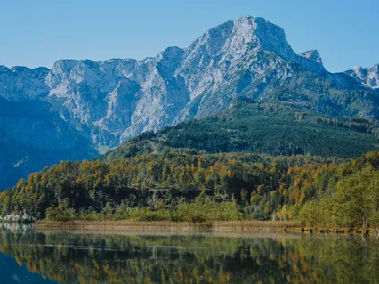 Сканируем Свое Тело