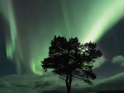 Sky Full Of Aurora
