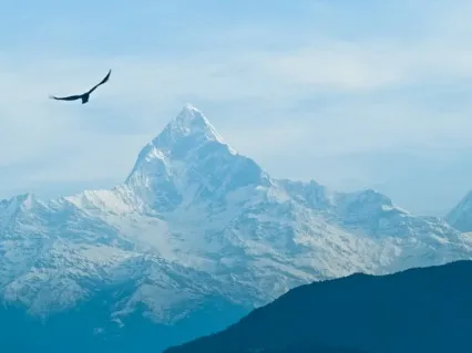 Sky Soaring Soundscape