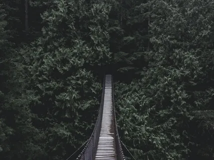 Skysia - Bridge Of Roses (Radio Edit)