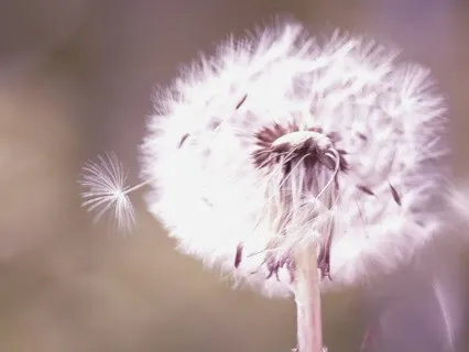 Släpp taget om allt