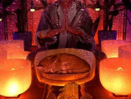 Sleep 18 Hours Tonight (+ Thunder Storm Sounds)