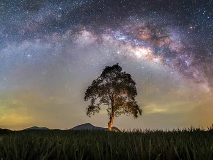 Sleep Abundance! 432 Hz + 777 Hz + 888 Hz Tuning Fork