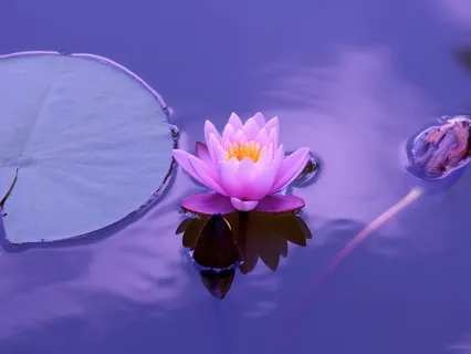 Sleep Affirmation Meditation