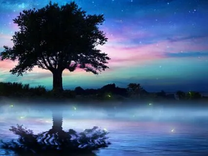 Sleep Affirmations: Confidence & Self-Worth