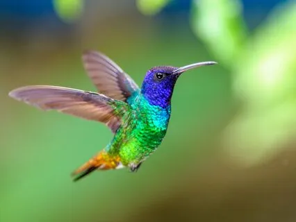 Sleep Affirmations: Connection With Self & Others