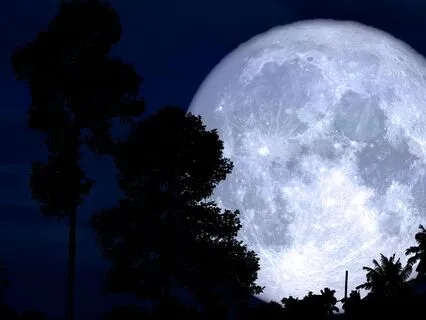 Sleep Affirmations For A Life Of Abundance