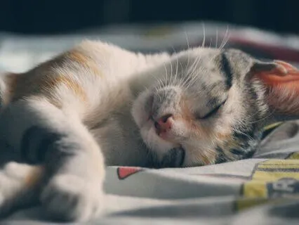 Sleep Affirmations For Anxiety At Bed Time (Ocean Sounds)