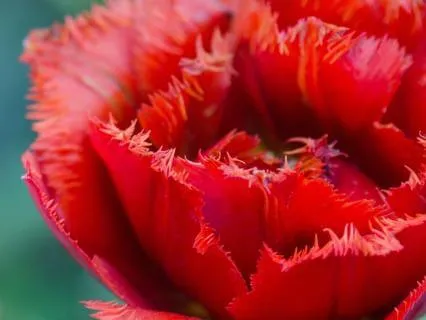 Sleep Affirmations For Confidence, Self-Worth & Self-Respect