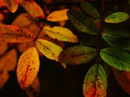 Sleep Affirmations For Deep Healing & Self-Love